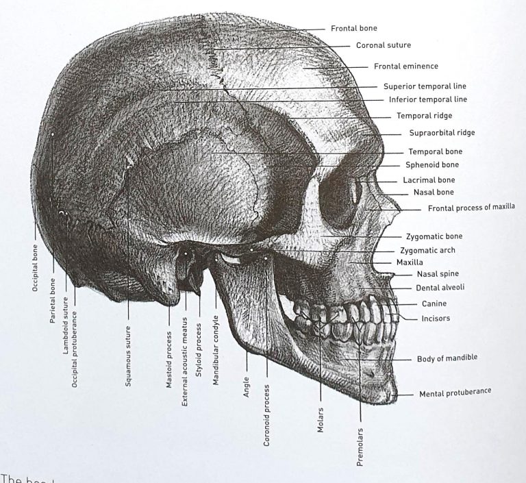 realistic drawing online course